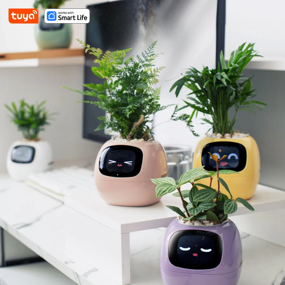 Jardinière intelligente Tuya Ivy smart connecté - Capteurs IA puissante intégrée