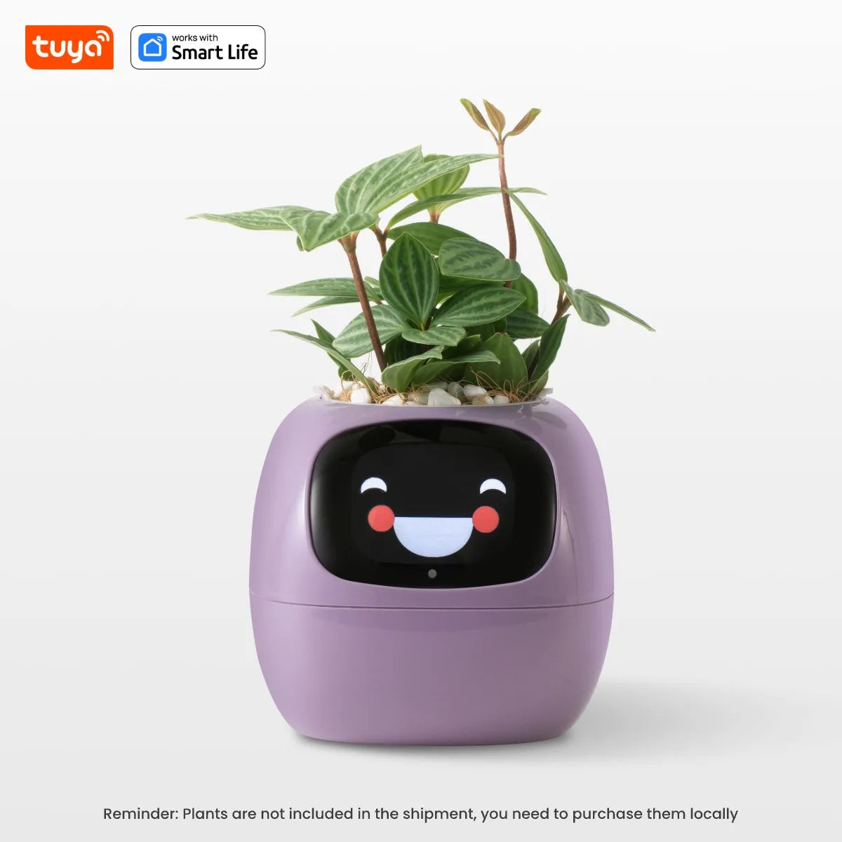 Jardinière intelligente Tuya Ivy smart connecté - Capteurs IA puissante intégrée