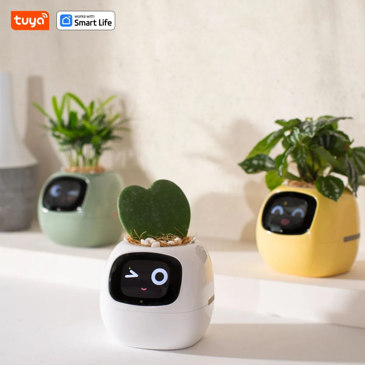 Jardinière intelligente Tuya Ivy smart connecté - Capteurs IA puissante intégrée