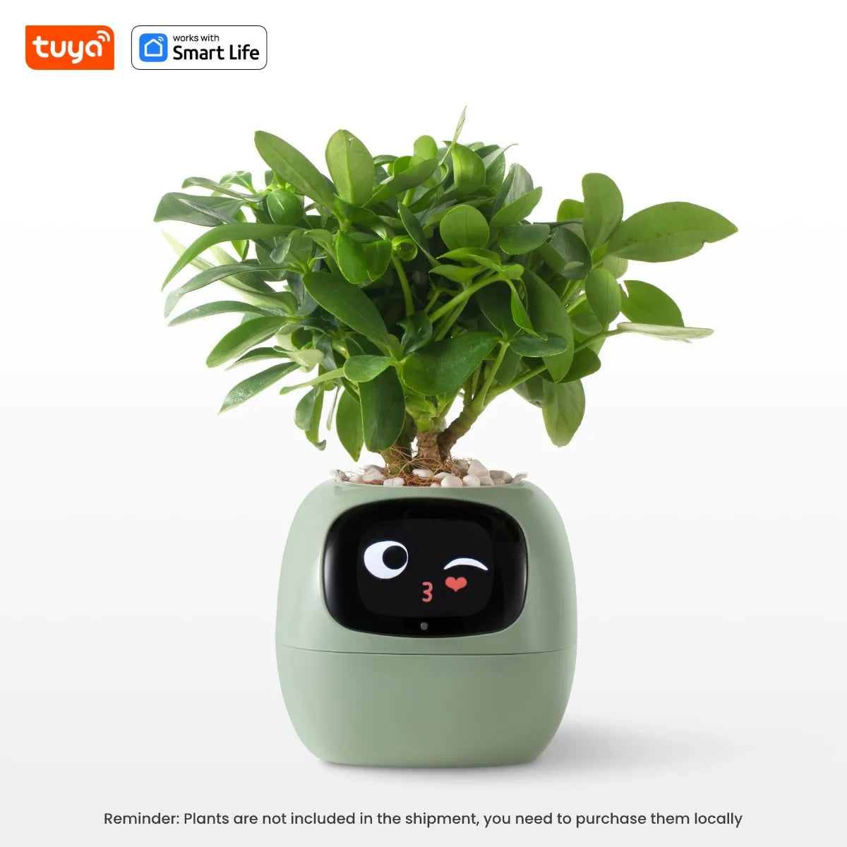 Jardinière intelligente Tuya Ivy smart connecté - Capteurs IA puissante intégrée